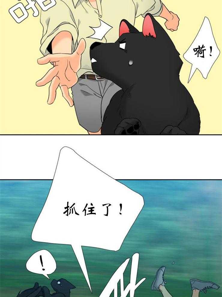 【狼的香气】漫画-（第202话_危急关头）章节漫画下拉式图片-第3张图片