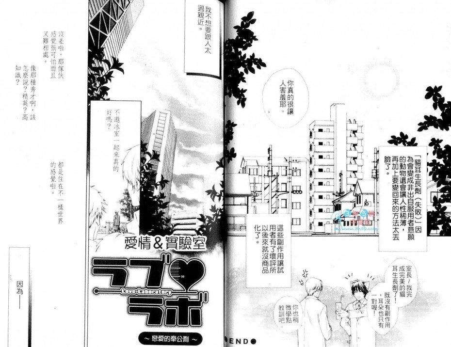 《爱情实验室》漫画最新章节 第1话 免费下拉式在线观看章节第【34】张图片