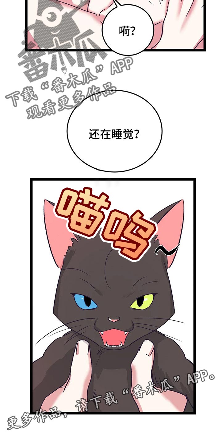 第55章：黑猫1