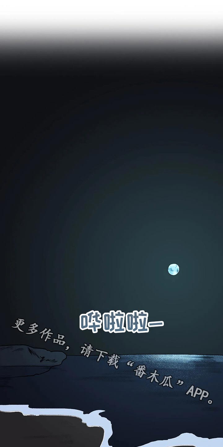 第46章：其他想法19