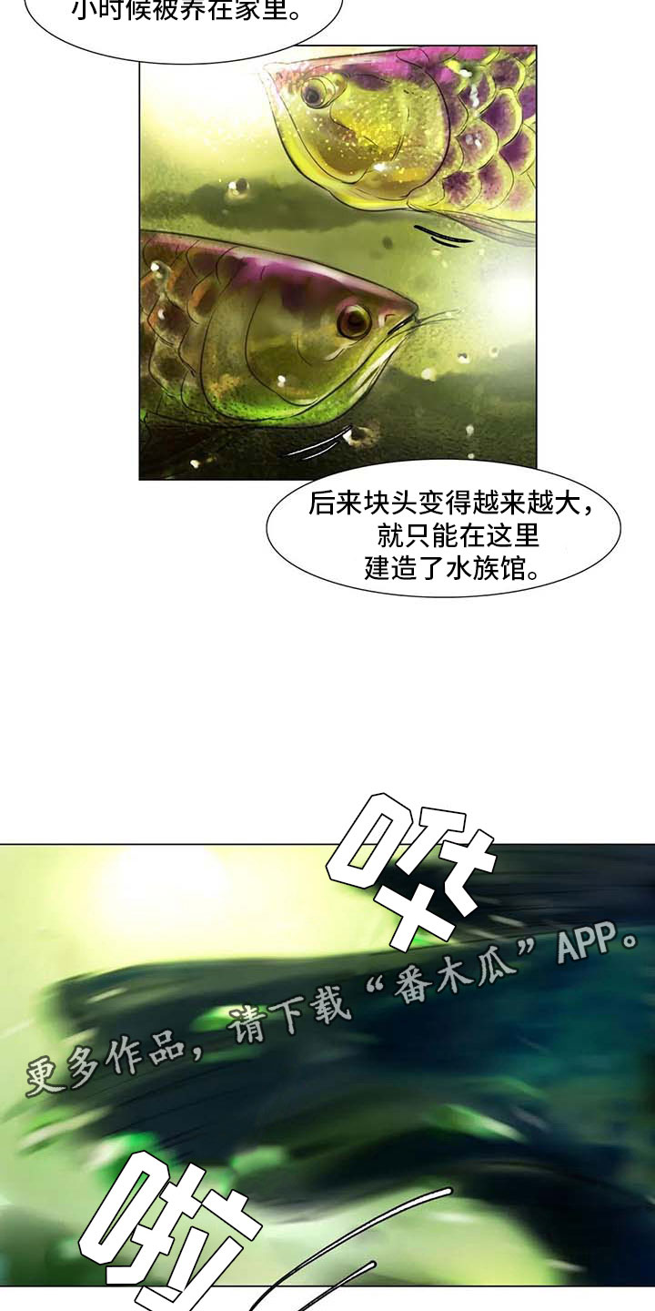 第26章：等待的乐趣19