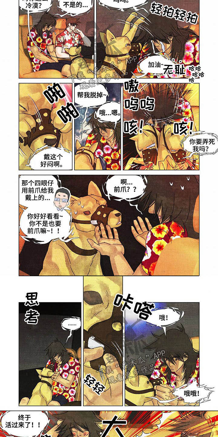 第21章：教导5