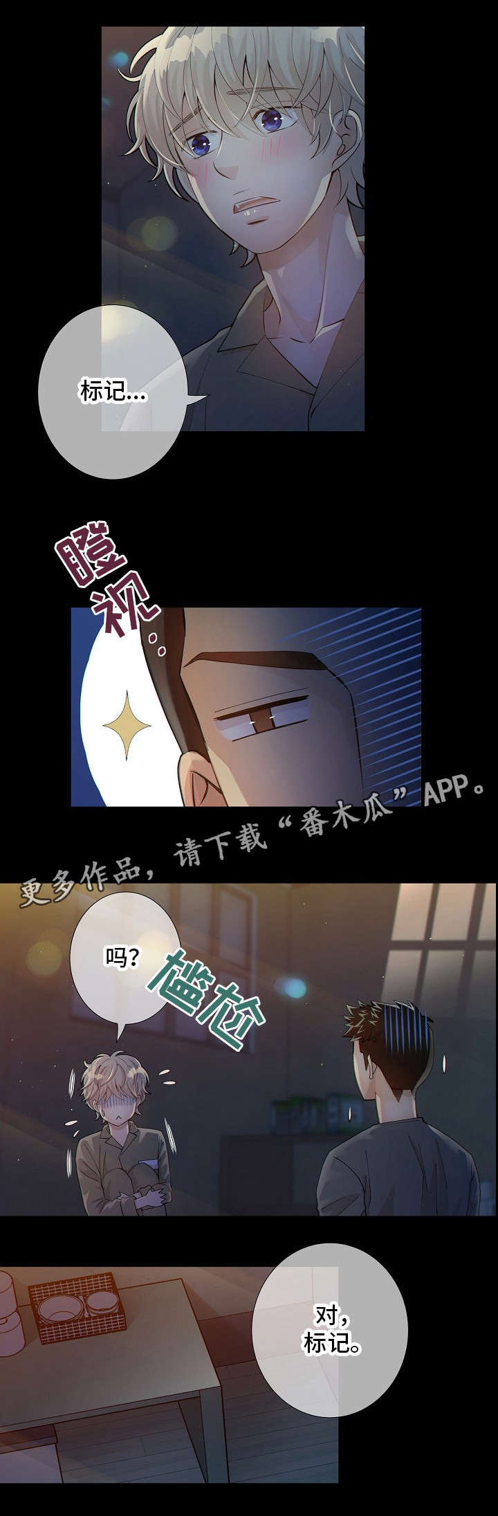 第11章：标记5