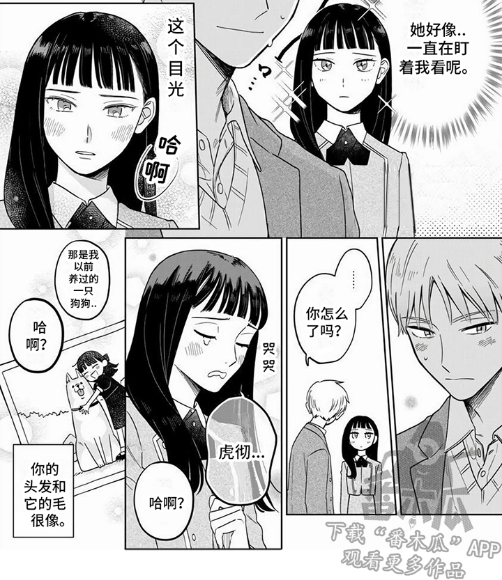 【天降赘婿】漫画-（第16章：【番外】两人的变化）章节漫画下拉式图片-第9张图片