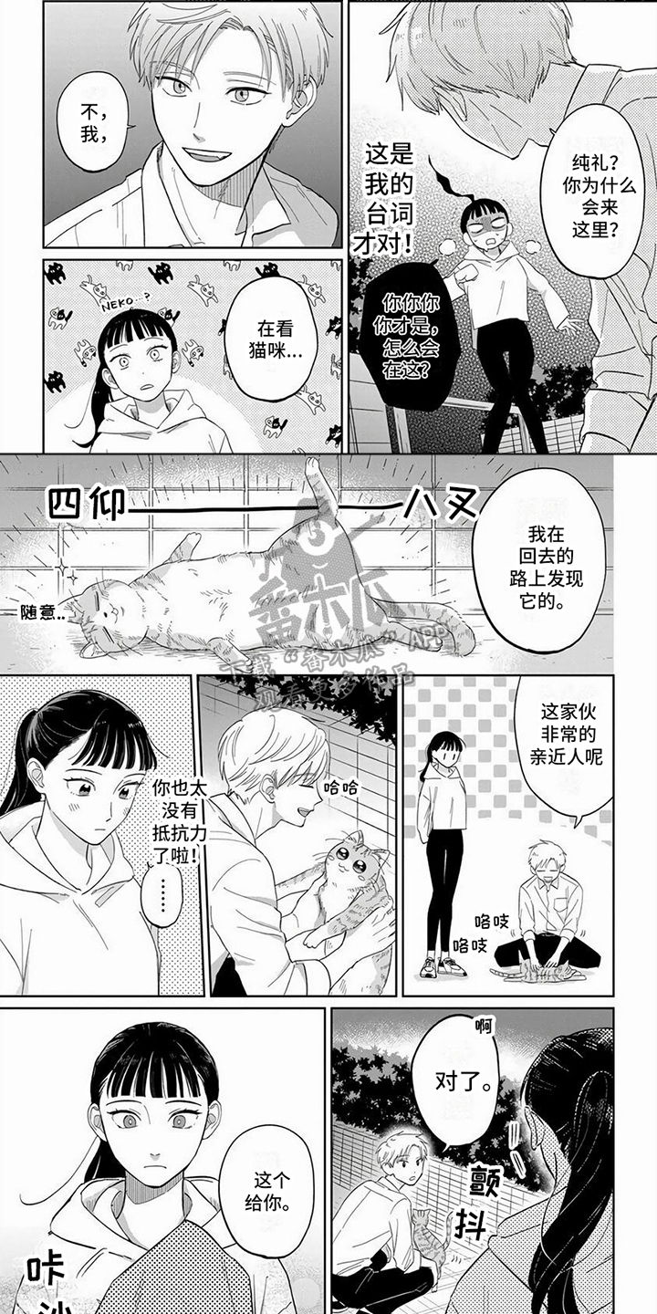 【天降赘婿】漫画-（第15章：信任）章节漫画下拉式图片-第1张图片