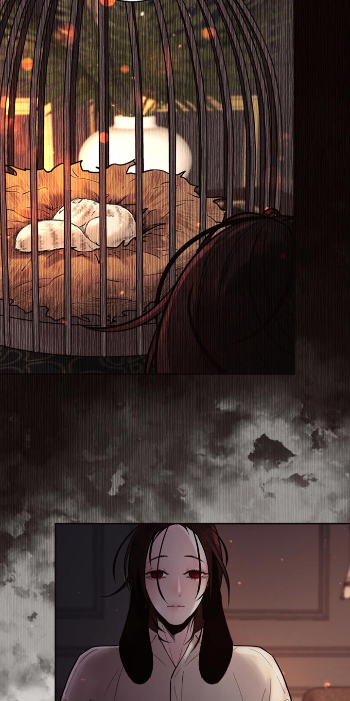 【北极兔】漫画-（第10章：【番外】动物血）章节漫画下拉式图片-第10张图片