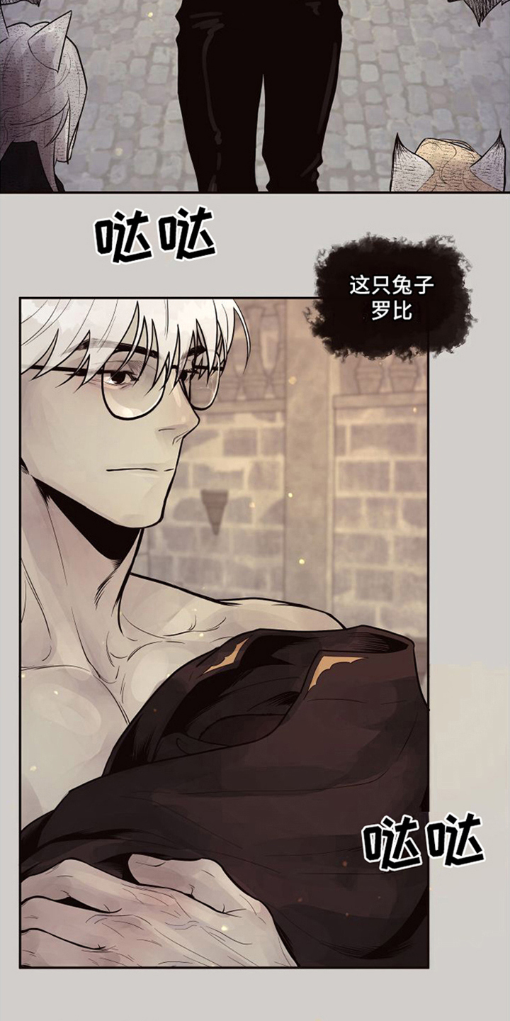 【北极兔】漫画-（第7章：唯一的黑色（完结））章节漫画下拉式图片-第17张图片