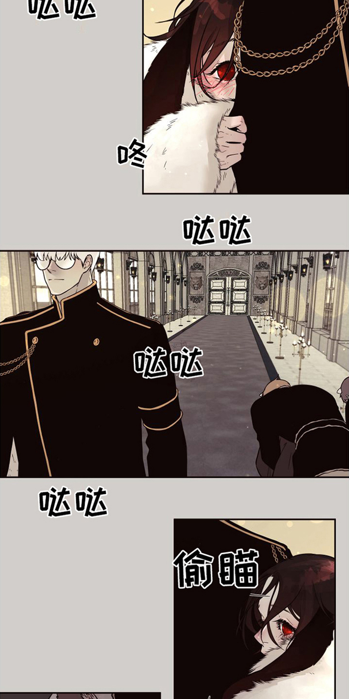 【北极兔】漫画-（第3章：跟随）章节漫画下拉式图片-第16张图片