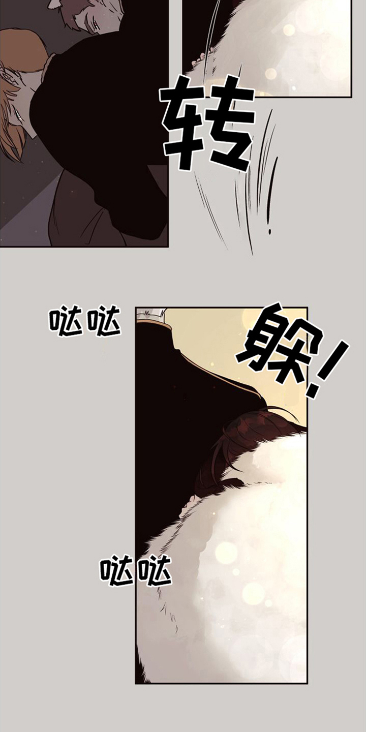 【北极兔】漫画-（第3章：跟随）章节漫画下拉式图片-第17张图片