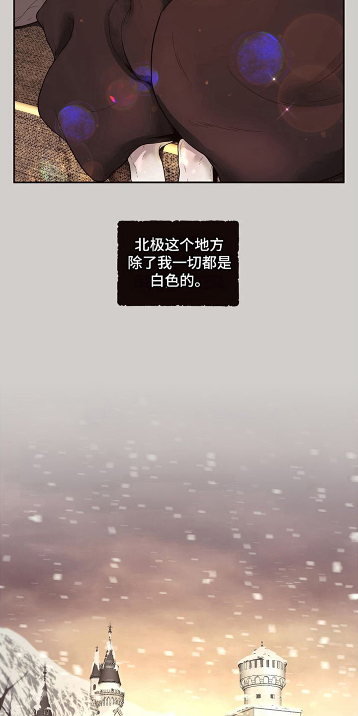 【北极兔】漫画-（第1章：雪国）章节漫画下拉式图片-第10张图片