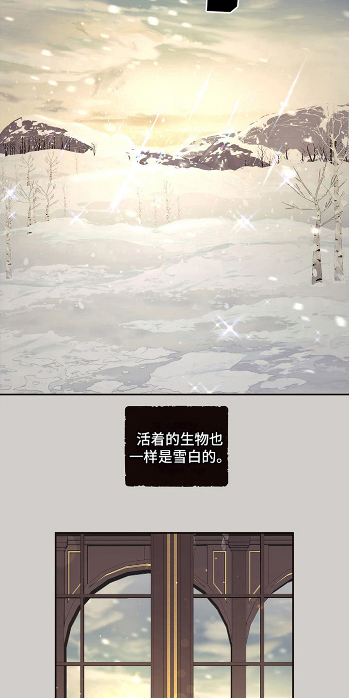【北极兔】漫画-（第1章：雪国）章节漫画下拉式图片-第3张图片