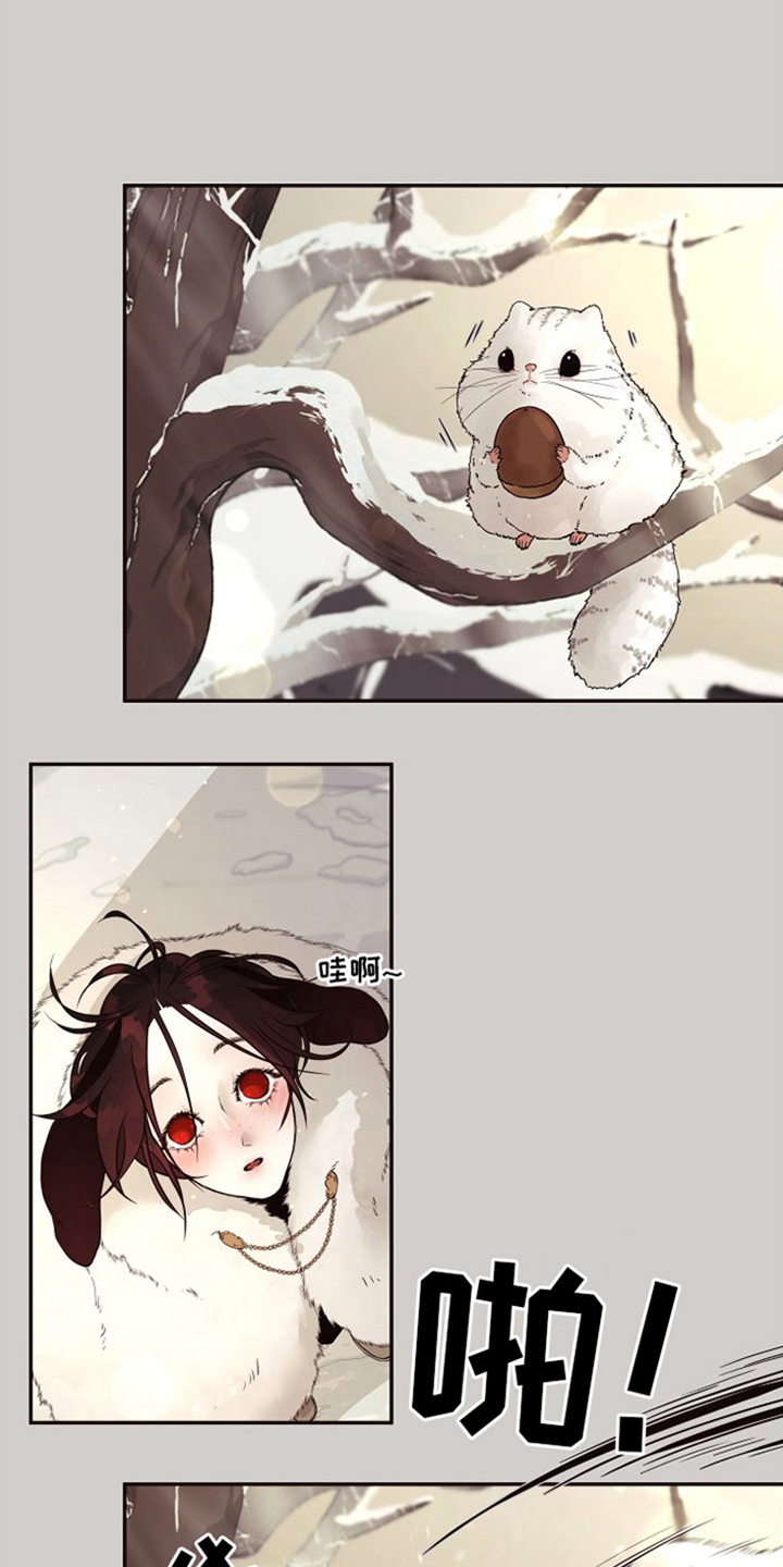 【北极兔】漫画-（第4章：选择权）章节漫画下拉式图片-第1张图片