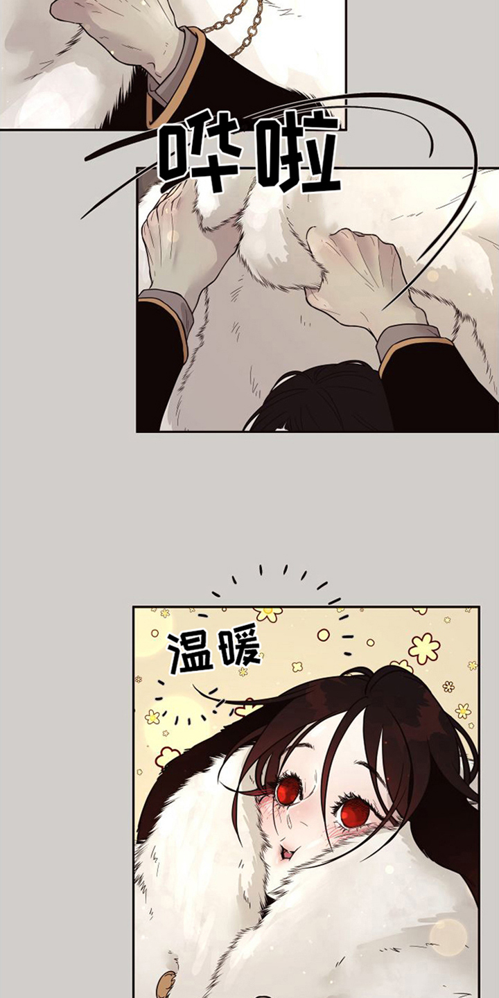 【北极兔】漫画-（第3章：跟随）章节漫画下拉式图片-第12张图片