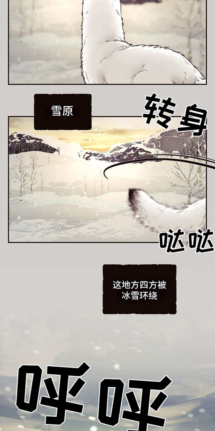 【北极兔】漫画-（第1章：雪国）章节漫画下拉式图片-第2张图片