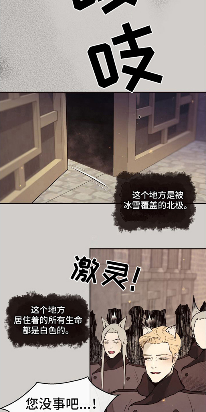 【北极兔】漫画-（第7章：唯一的黑色（完结））章节漫画下拉式图片-第14张图片