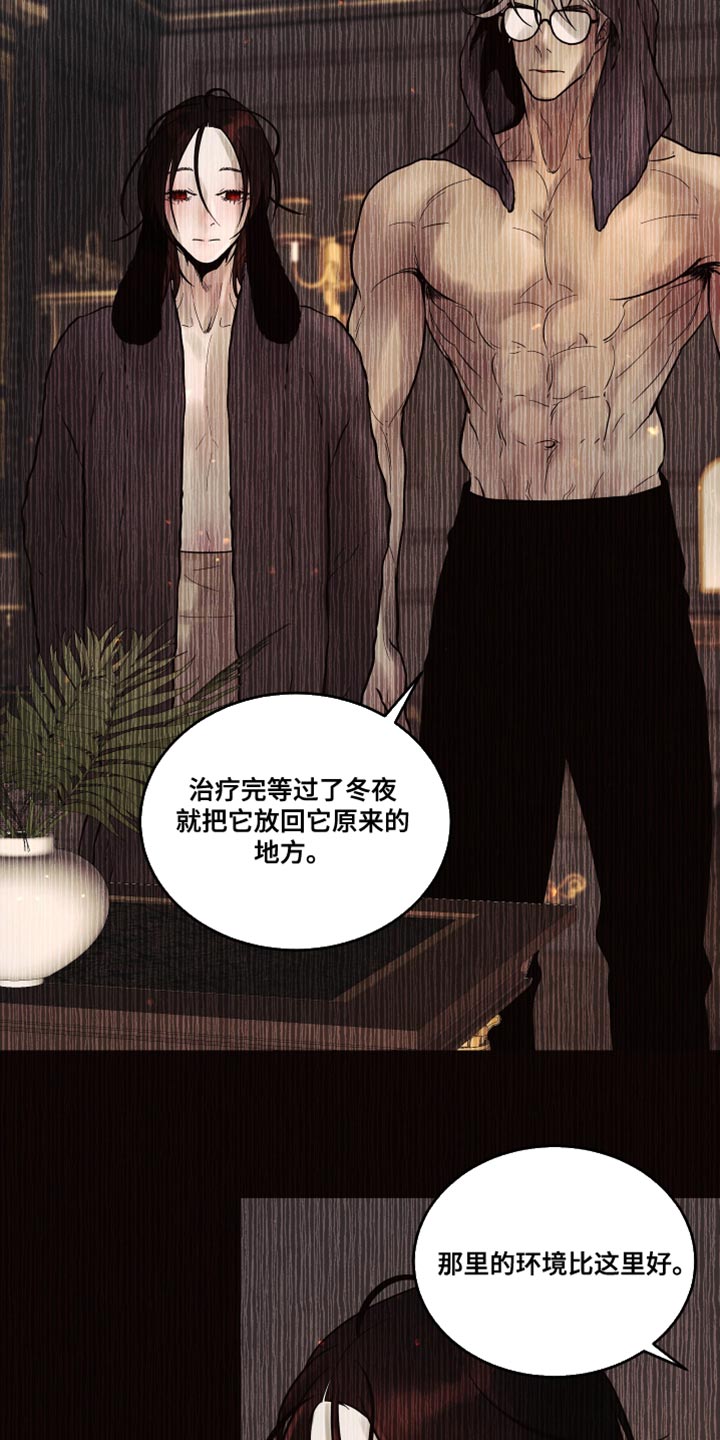 【北极兔】漫画-（第10章：【番外】动物血）章节漫画下拉式图片-第16张图片