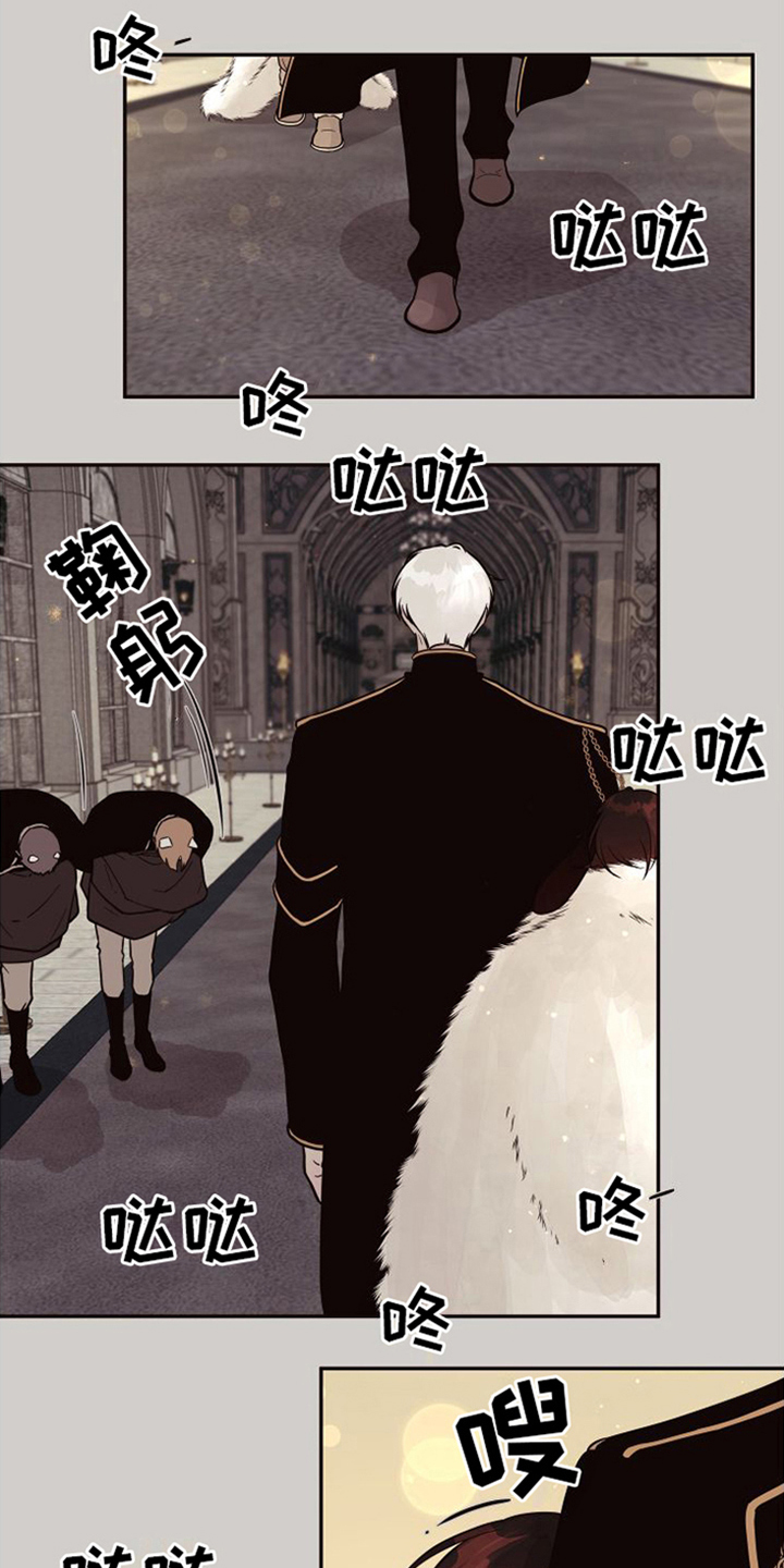 【北极兔】漫画-（第3章：跟随）章节漫画下拉式图片-第15张图片